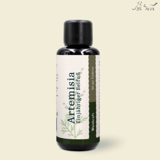 Artemisia - Einjähriger Beifuß*