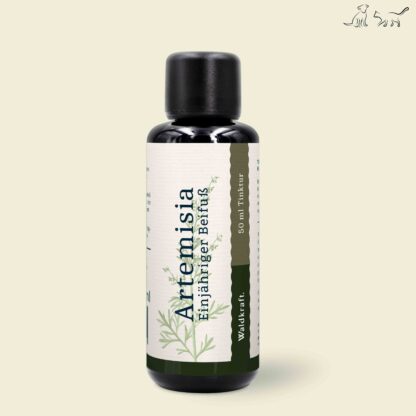 Artemisia - Einjähriger Beifuß*