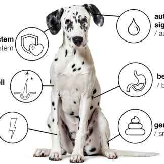 BARF Geflügelmix in Würfeln für Hunde & Katzen  - 2000 g - Premiumqualität von Tackenberg*