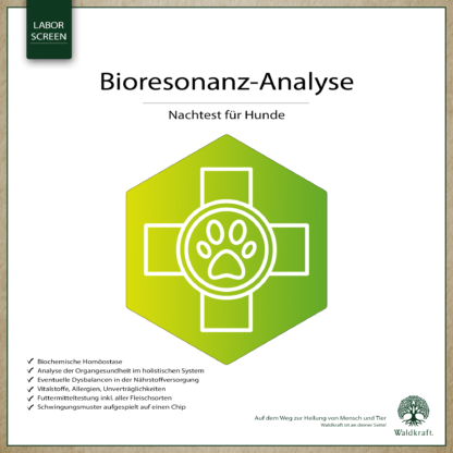 Bioresonanz-Analyse Hund Nachtest*