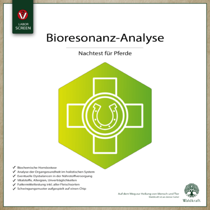 Bioresonanz-Analyse Pferd Nachtest*