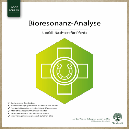 Bioresonanz-Analyse Pferde Notfall-Nachtest*