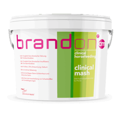 Brandon  c-mash*