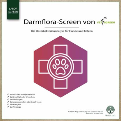 Darmflora-Screen*