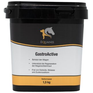 Equanis  GastroActive*