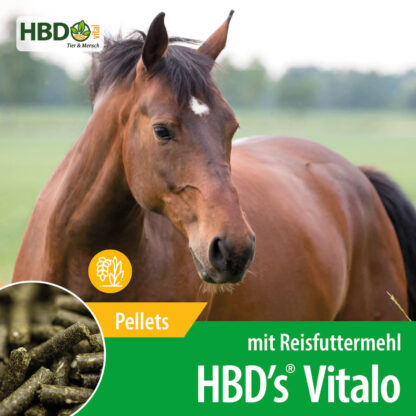 HBD's Vitalo*