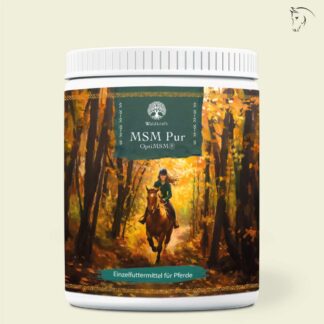 MSM Pur für Pferde - Organischer Schwefel - OptiMSM® - 1000g*
