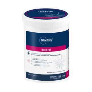 Navalis doloral horse*