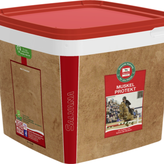 Salvana Muskel Protekt*
