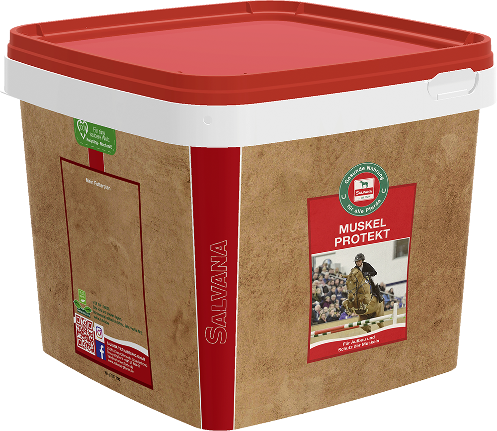 Salvana Muskel Protekt*