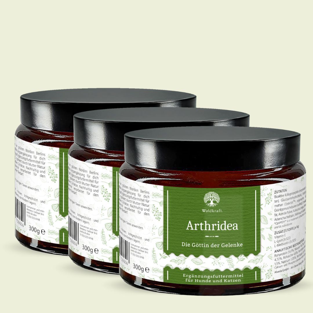 Set: 3er Pack - Arthridea - Die Göttin der Gelenke - Tiegel 3x 300g*
