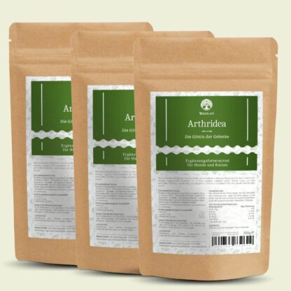 Set: 3er Pack - Arthridea – Die Göttin der Gelenke - Nachfüllpack 3x 300g*