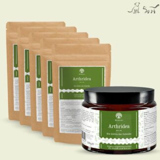 Set: 6er Pack - Arthridea - Die Göttin der Gelenke - Tiegel 1x 300g + Nachfül...*