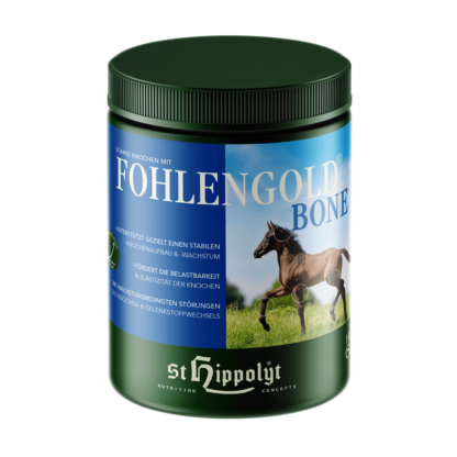 St. Hippolyt  Fohlengold Bone*