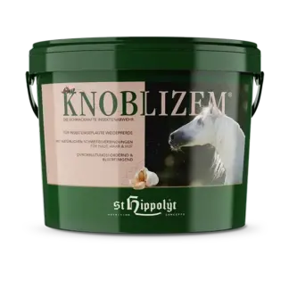 St. Hippolyt Knoblizem*