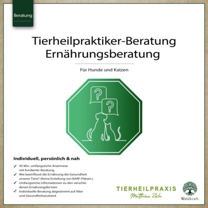 THP-Beratung: Ernährungsberatung*