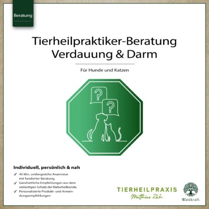 THP-Beratung: Verdauung und Darm*