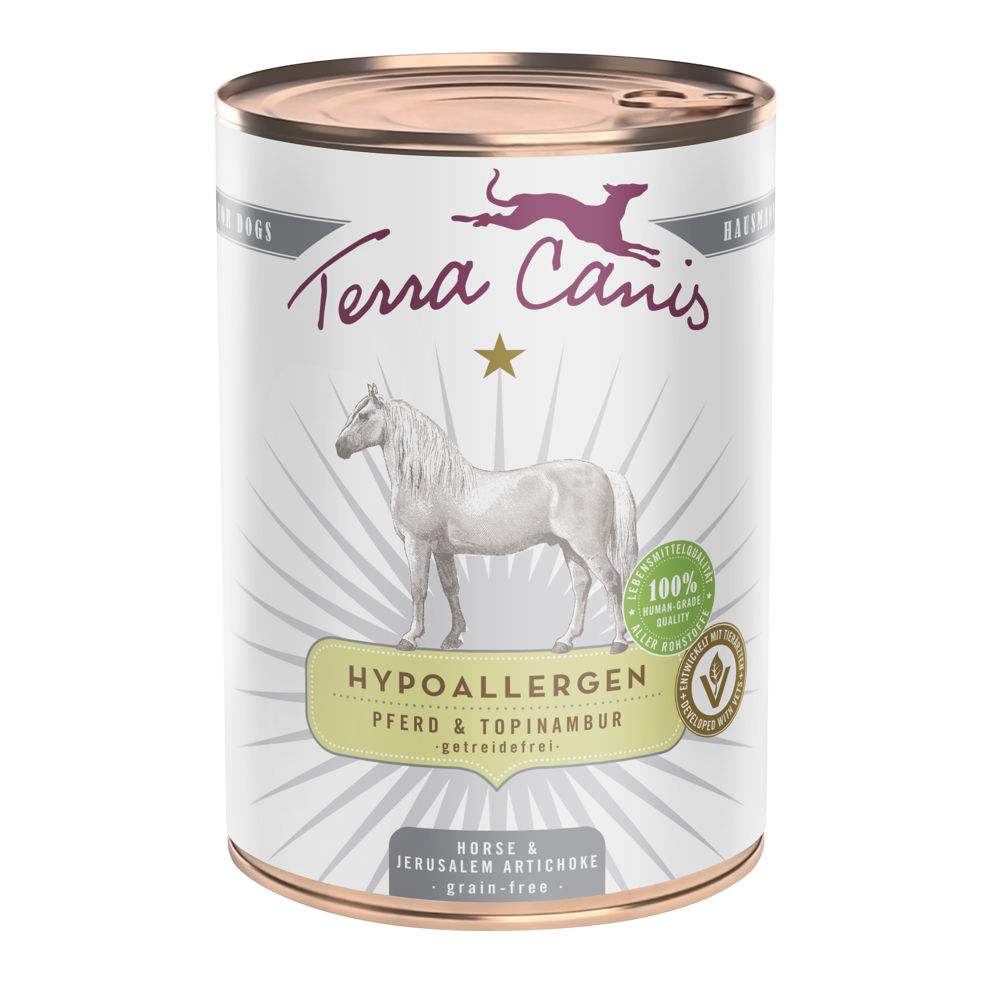 Terra Canis Hypoallergen | Pferd mit Topinambur 400g*