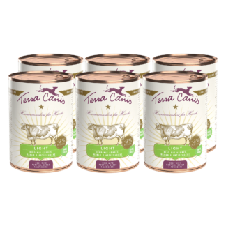 Terra Canis Light | Rind mit Kürbis, Mango und Artischocke 6x 400g*