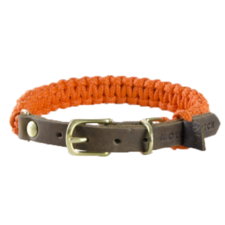 Terra Canis Molly und Stitch | Halsband - Pumpkin XL*