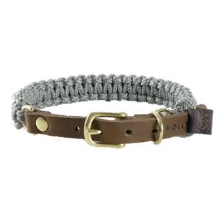 Terra Canis Molly und Stitch | Halsband – Gray M*