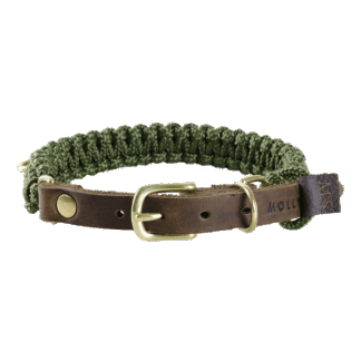 Terra Canis Molly und Stitch | Halsband – Military L*