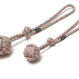 Terra Canis Treusinn | Bolly Rainbow M*