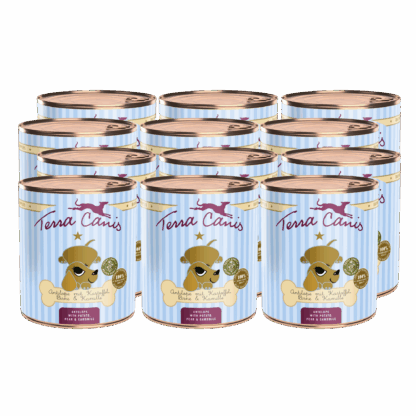 Terra Canis Welpe | Antilope mit Kartoffel, Birne, Kastanie und Kamille 12x 800g*