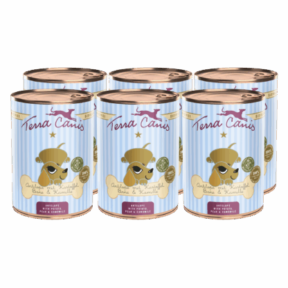 Terra Canis Welpe | Antilope mit Kartoffel, Birne, Kastanie und Kamille 6x 400g*