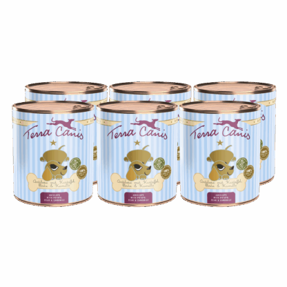 Terra Canis Welpe | Antilope mit Kartoffel, Birne, Kastanie und Kamille 6x 800g*